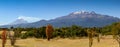 Popocatepetl and Iztaccihuatl. Royalty Free Stock Photo