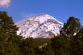 Forest with the snowy volcano Popocatepetl XI Royalty Free Stock Photo