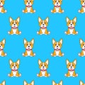 Seamless pattern with cartoon funny dog corgi sitting on blue background