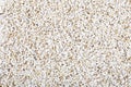 Popped Amaranth Royalty Free Stock Photo
