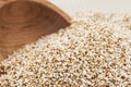 Popped Amaranth Royalty Free Stock Photo