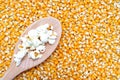 Popped corn kernels on a wooden spoon Royalty Free Stock Photo
