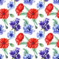 Poppies, anemones, cornflower, blue bell flower, seamless patterns, watercolor hand drawing, colorful flowers Royalty Free Stock Photo