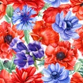 Poppies, anemones, cornflower, blue bell flower, seamless patterns, watercolor hand drawing, colorful flowers Royalty Free Stock Photo