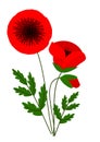 Poppies