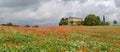 Poppies field around a rural country house Royalty Free Stock Photo