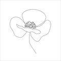 Poppies flower continuous line drawing. Abstract minimal poppy. Editable vector line