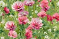 Poppies in green grass, pink and white small flowers