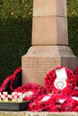 Poppies left at a memorial during Rememberance Day