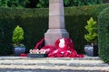 Poppies left at a memorial during Rememberance Day