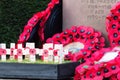 Poppies left at a memorial during Rememberance Day Royalty Free Stock Photo