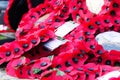 Poppies left at a memorial during Rememberance Day