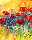 Poppies in the meadow