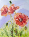 Poppies, oil painting on canvas