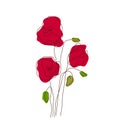 Red poppies on white background