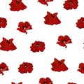 Poppy flower pattern1 Royalty Free Stock Photo