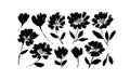 Poppies and peonies hand drawn vector set. Royalty Free Stock Photo