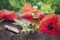 Poppies, poppy flower heads, bottle of infusion and scoop of homeopathic globules.