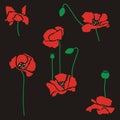 Red poppy flowers seamless pattern Royalty Free Stock Photo