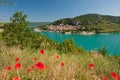 Poppies at the Saint Croix lake