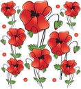 Poppies. Seamless background.