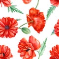 Poppies, seamless flower patterns, watercolor floral design on a white background, hand drawing Royalty Free Stock Photo