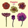 Poppies set, hand drawn doodle, sketch in pop art style, vector illustration pink, yellow, red, isolated on yellow Royalty Free Stock Photo