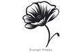 California Poppy, California Poppy Vector, Poppy Flower, Poppies Vector, Pretty Flower Vector