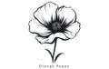 California Poppy, California Poppy Vector, Poppy Flower, Poppies Vector, Pretty Flower Vector