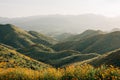 Poppies with view of green hills and mountains at Walker Canyon, in Lake Elsinore, California