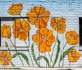 Poppies on a wall Royalty Free Stock Photo