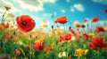 Poppies wildflowers spring landscape, beautiful rural background