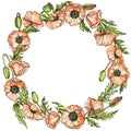 Poppies wreath in ink and watercolor. Wildflowers chaplet on white. Hand-drawn illustration. For invitation, card