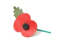 Poppy appeal Royalty Free Stock Photo