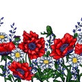 Poppy and camomile on white background. Seamless background pattern.