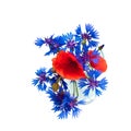 Poppy and cornflower bouquet in glass Royalty Free Stock Photo