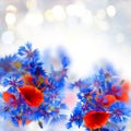 Poppy and cornflower bouquet Royalty Free Stock Photo