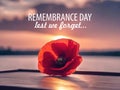 Poppy Day concept. Remembrance Day - Lest We Forget