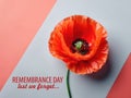 Poppy Day concept. Remembrance Day - Lest We Forget