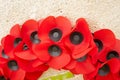 A Poppy day great remembrance war world flanders