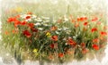 Poppy field