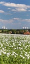 poppy field and Dukovany Nuclear Power Plant Royalty Free Stock Photo