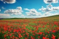 Poppy field in spring and cloudy sky. Flowering spring poppies among the wheat field. Beautiful nature Royalty Free Stock Photo