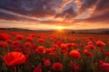 Poppy field sunset art paint. Generate Ai Royalty Free Stock Photo