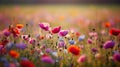 Poppy field at sunset with a delicate bokeh effect creating a dreamy scene