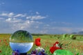 Poppy fields,flowers and crystal quartz