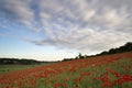 Poppy fields landscape Summer sunset. Royalty Free Stock Photo