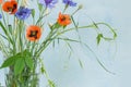 Poppy flower bouquet, cornflowers, and wild grape plant with green leaves on stem on rustic village blue background. Beautiful Royalty Free Stock Photo