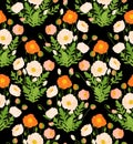 Poppy flower bouquet seamless pattern vector. Hand draw floral composition on black background. Vintage style papaver illustration Royalty Free Stock Photo
