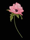 Poppy flower for embroidery in botanical illustration style on a Royalty Free Stock Photo